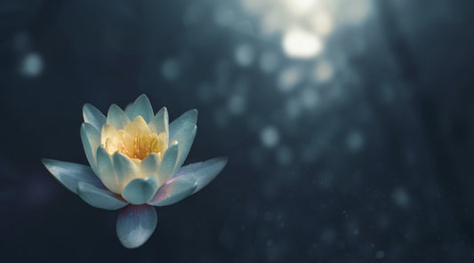 Unlocking Vitality: Exploring the Benefits of Soma Breath